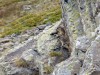 Col de l' Oule - Col Granon - Croix de la Cime