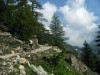 Col du Vallon