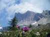 Col du Vallon