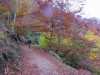 Giro del monte Freidour