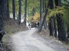 Les Arnauds - Passo della mulattiera