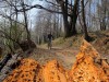 Monte Calvo e Monti Pelati