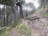 Salbertrand - Forte Pramand - Sentiero 717